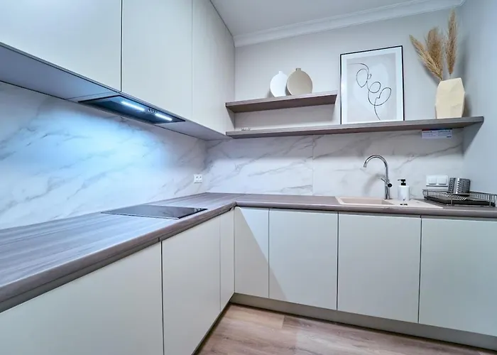 Laguna 35 波兰尼卡-兹德鲁伊