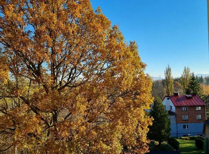 Laguna 35 Polanica-Zdrój